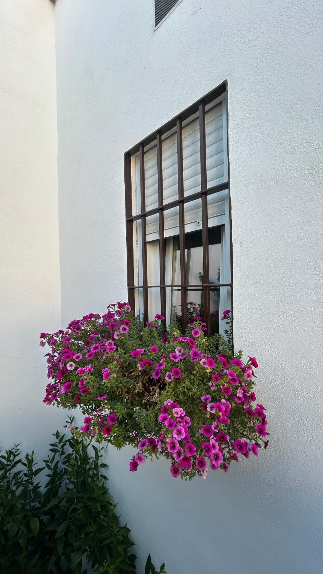 Leyendas En La Axerquia Córdoba Exterior foto